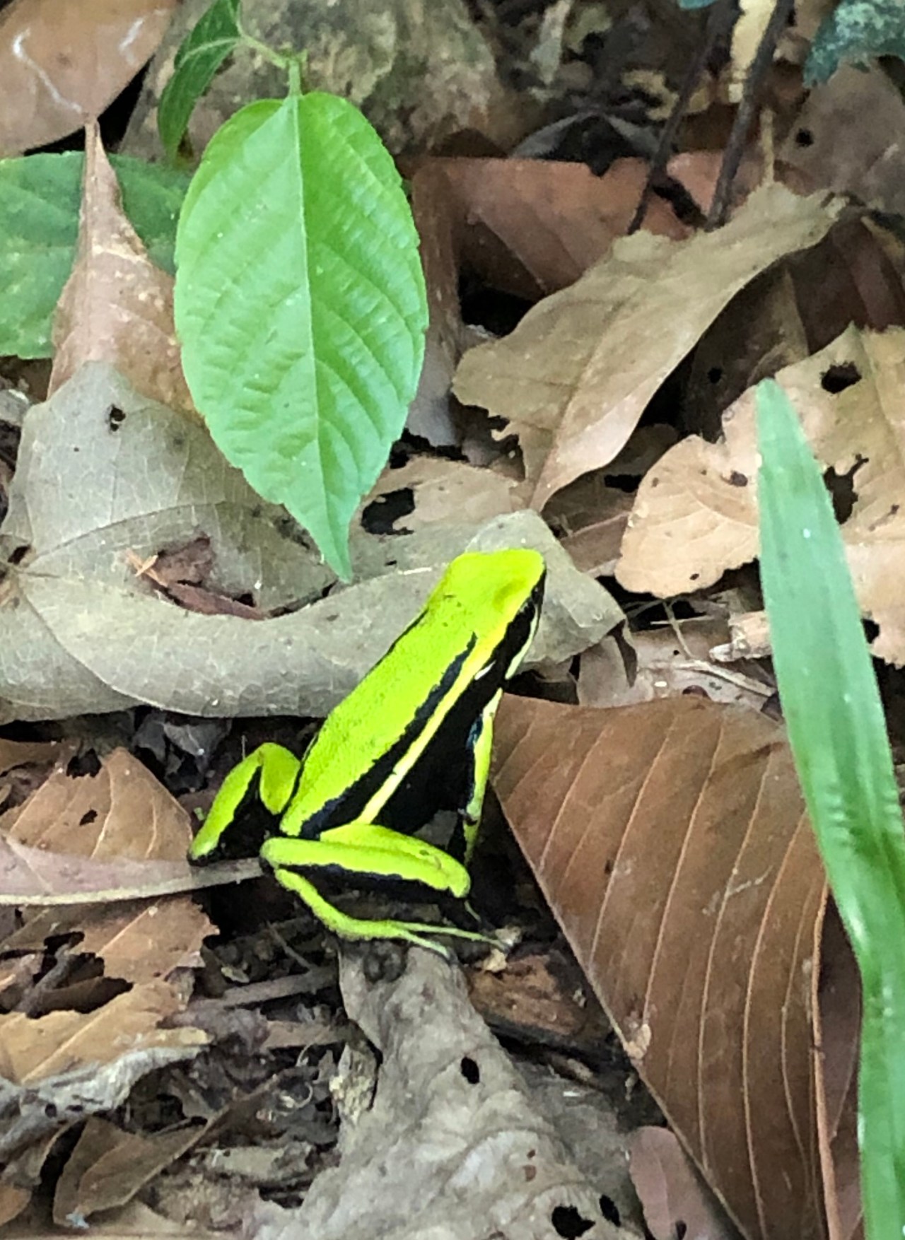 16th – 18th October