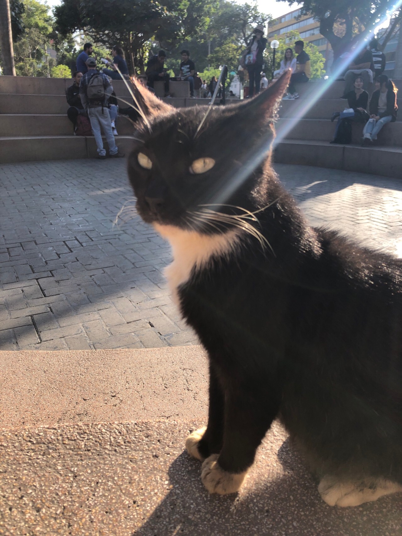 24th October ‘19 – Planning my next&nbsp;adventure