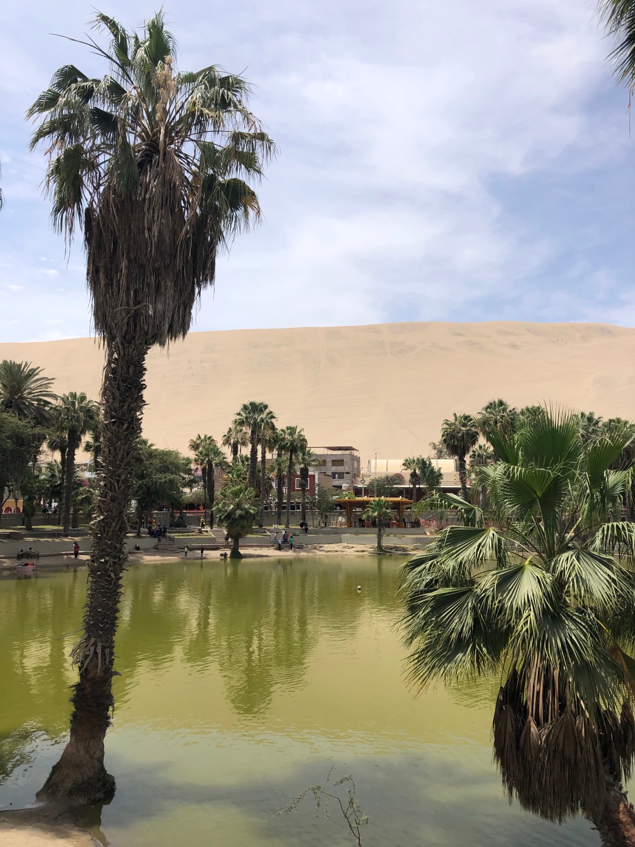 27th October Living in&nbsp;Huacachina