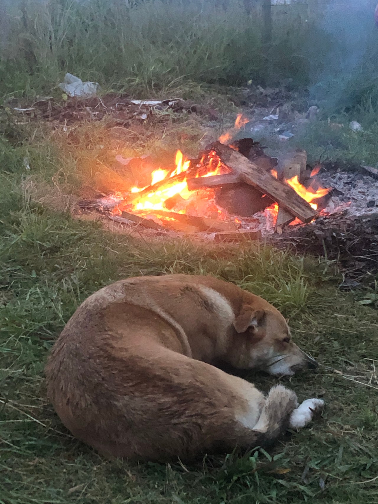 4th Dec’19 – Penultimate day